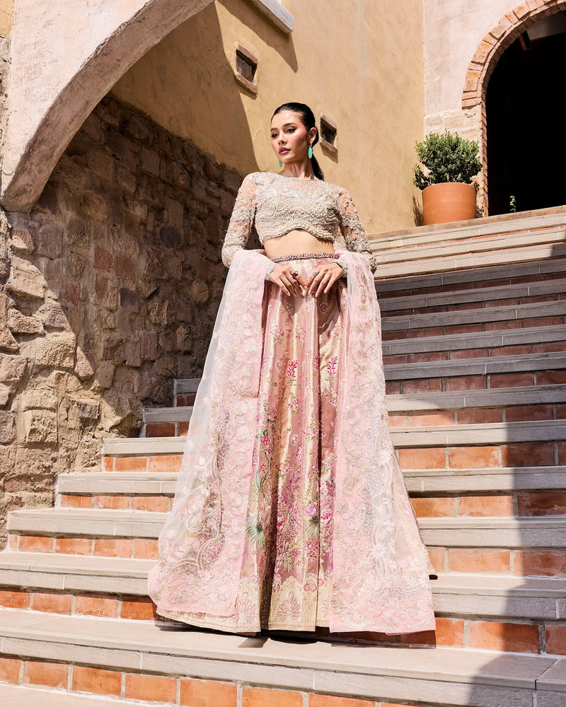Mysie by Tahira | Alara Bridals 26 | RUMAISA - by Libayah - Registered Vendor of : Mysie by Tahira - 100% Original Designer Dress