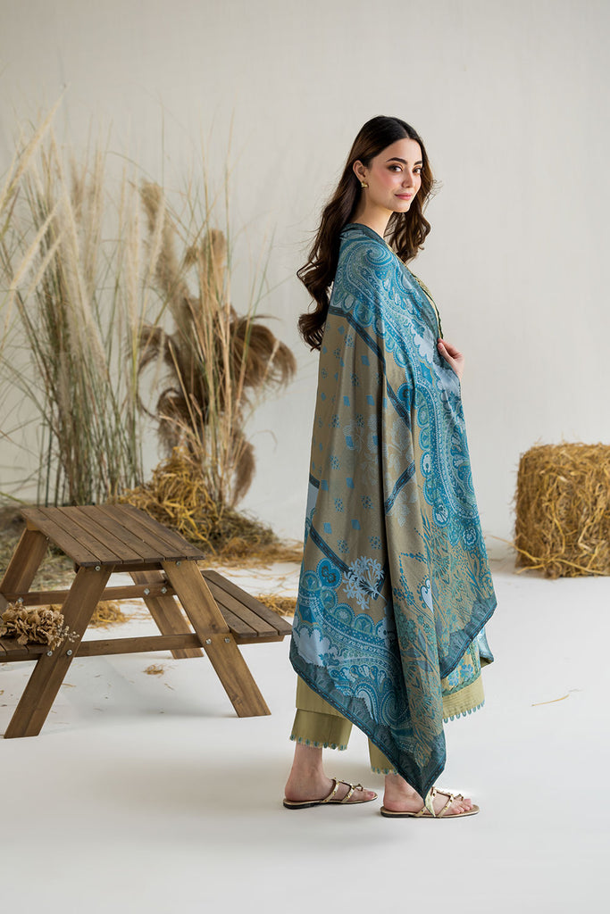 WE25-V1-6B – authentic Pakistani dress from the Sobia Nazir Winter 25 collection for women in the UK.