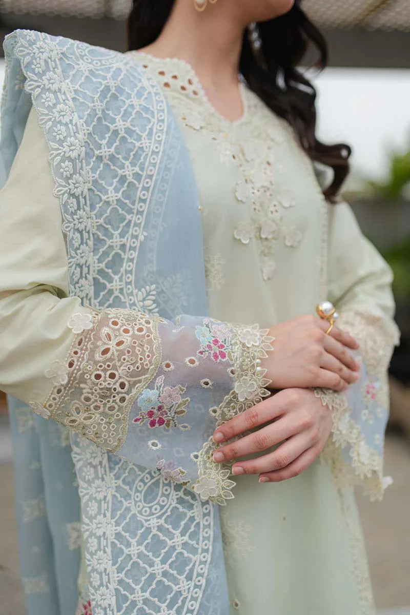 Qalamkar | Q Line Lawn Collection | JK-04 ASTER