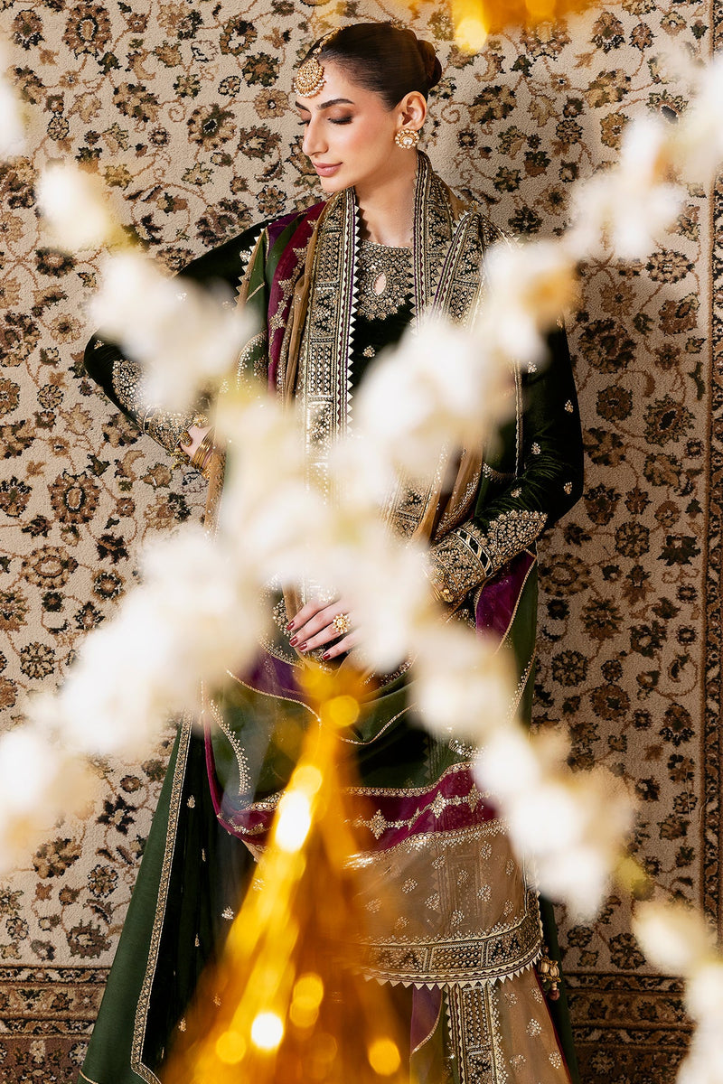 Jazmin | Chandani Velvet Formals 25 | CVF D-09 by Jazmin - Designer Dress  - Type : Ladies Clothes - Available at Libayah - 100% Original 