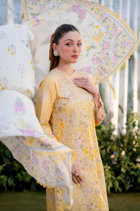 Aabyaan | Shezlin Chikankari Ramadan Edit 25 | NISA (AR-02) by Aabyaan - Designer Dress - Type: Ladies Clothes - Available at Libayah - 100% Original
