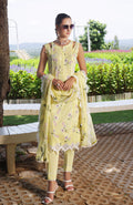 Al Zohaib | Sunshine Premium Edition 25 | SBE-25-08D by Al Zohaib - Designer Dress  - Type : Ladies Clothes - Available at Libayah - 100% Original 