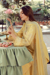 Sahar | Festive Edit 26 | Butterlicious by Sahar - Designer Dress  - Type : Ladies Clothes - Available at Libayah - 100% Original 