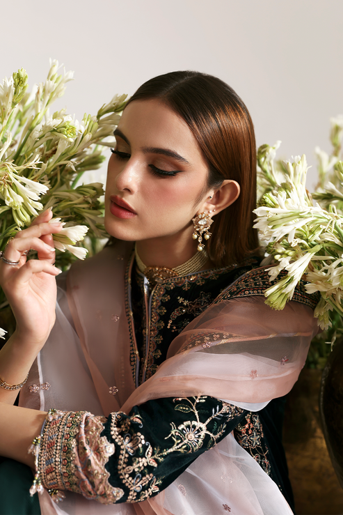 MEHRUUNISA – authentic Pakistani formal dress from the Emaan Adeel Zarposh Velvet 25 collection for women in the UK.