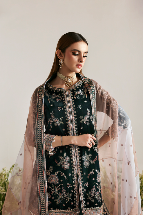 MEHRUUNISA – authentic Pakistani formal dress from the Emaan Adeel Zarposh Velvet 25 collection for women in the UK.