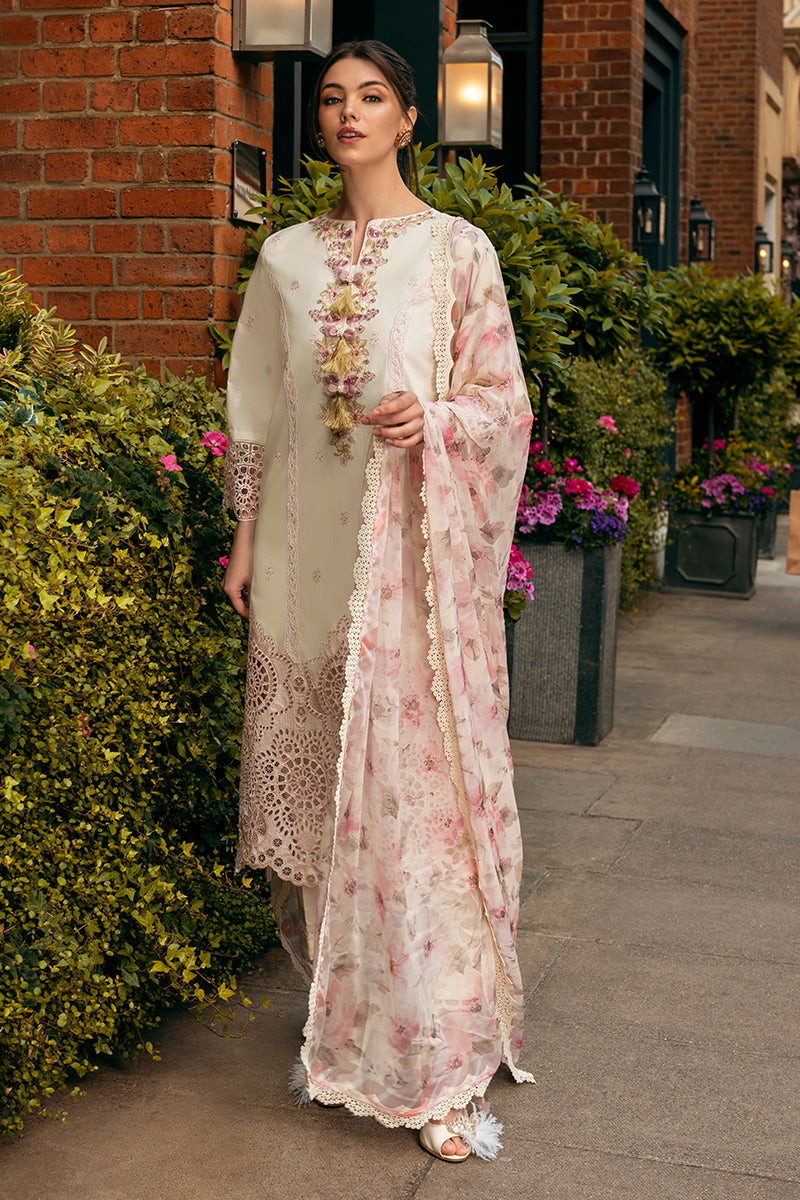 Mushq | Hemline Odyssey | MOCHA MUSE