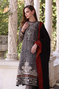 Noor by Saadia Asad | Winter Pashmina 25 | Noir Safari