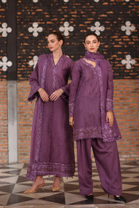Noor by Saadia Asad | Winter Pashmina 25 | Serenity