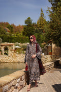 Noor by Saadia Asad | Luxe Chikankari 25 | D2-B by Noor by Saadia Asad - Designer Dress - Type: Ladies Clothes - Available at Libayah - 100% Original