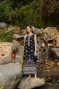 Noor by Saadia Asad | Luxe Chikankari 25 | D3-B by Noor by Saadia Asad - Designer Dress - Type: Ladies Clothes - Available at Libayah - 100% Original