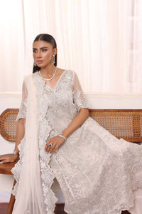 Noor by Saadia Asad | Noor Chiffon De Luxe | D5 by Noor by Saadia Asad - Designer Dress - Type: Formal - Available at Libayah - 100% Original