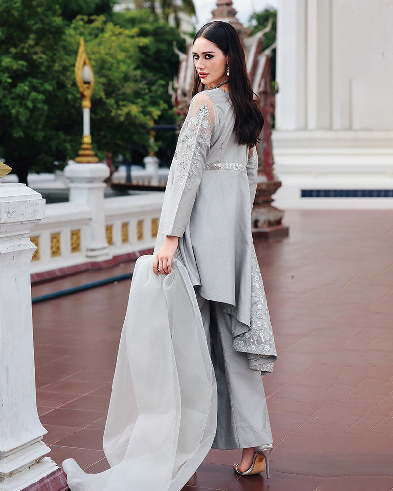 Ain | Prestige Festive Edit | AN-146 C AN-146 C by Ain - Designer Dress  - Type : Ladies Clothes - Available at Libayah - 100% Original 