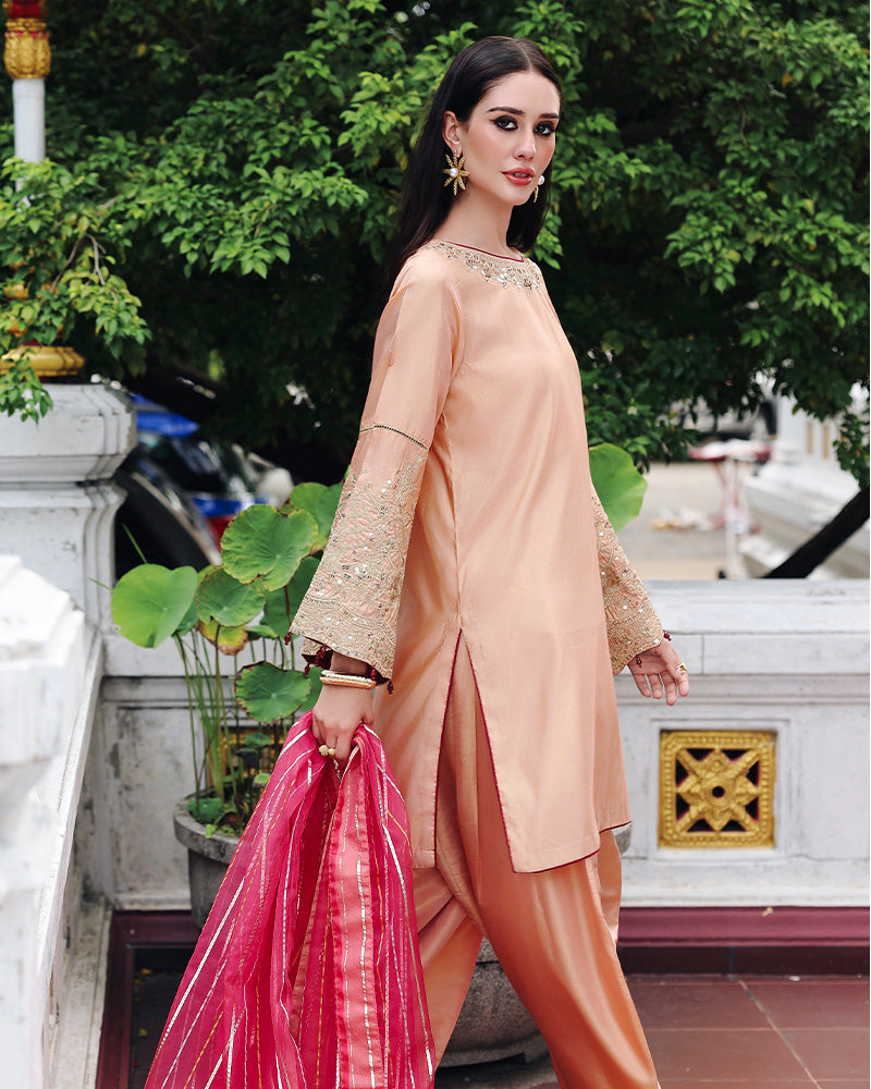 Ain | Prestige Festive Edit | AN-140 D by Ain - Designer Dress  - Type : Ladies Clothes - Available at Libayah - 100% Original 