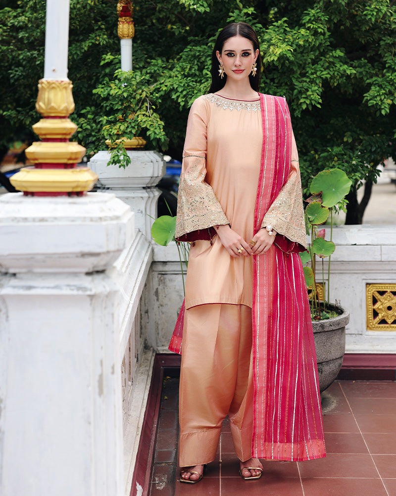 Ain | Prestige Festive Edit | AN-140 D by Ain - Designer Dress  - Type : Ladies Clothes - Available at Libayah - 100% Original 