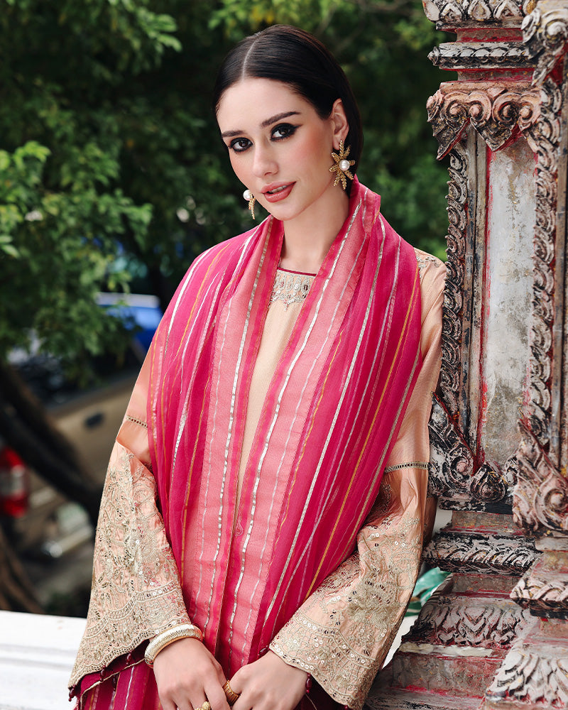 Ain | Prestige Festive Edit | AN-140 D by Ain - Designer Dress  - Type : Ladies Clothes - Available at Libayah - 100% Original 