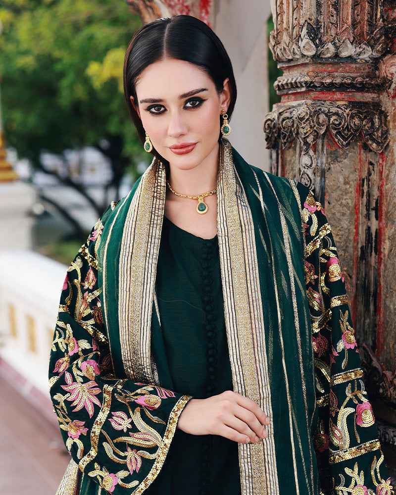 Ain | Prestige Festive Edit | AN-143 B by Ain - Designer Dress  - Type : Ladies Clothes - Available at Libayah - 100% Original 