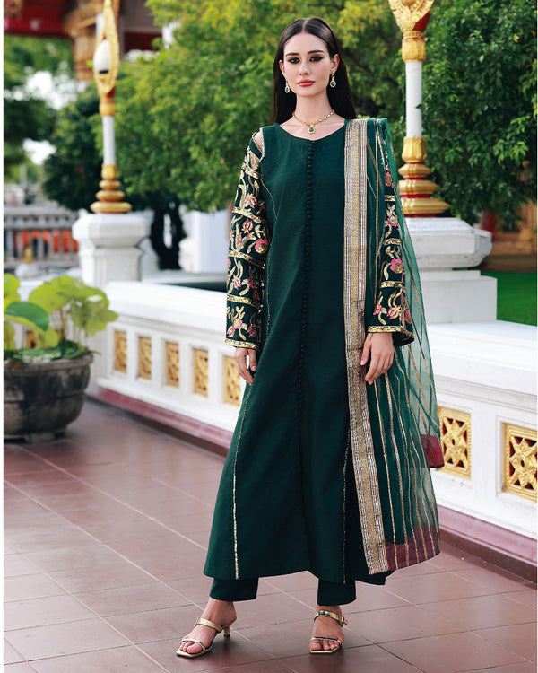 Ain | Prestige Festive Edit | AN-143 B by Ain - Designer Dress  - Type : Ladies Clothes - Available at Libayah - 100% Original 