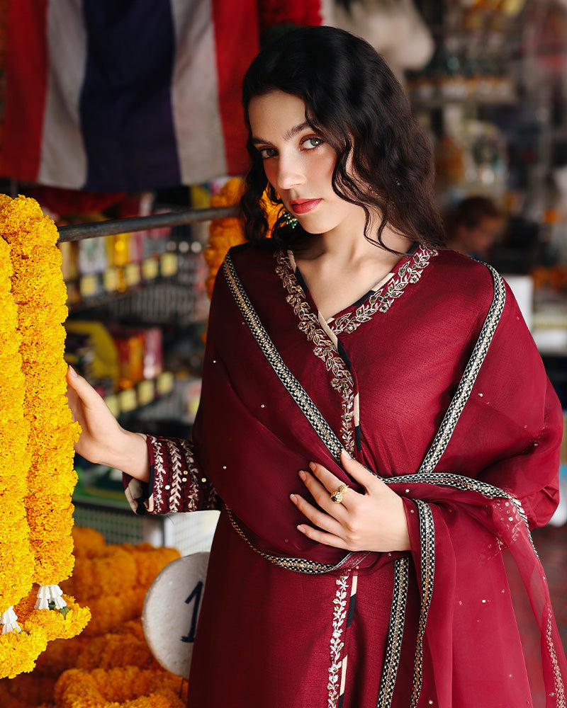 Ain | Prestige Festive Edit | AN-142 F by Ain - Designer Dress  - Type : Ladies Clothes - Available at Libayah - 100% Original 