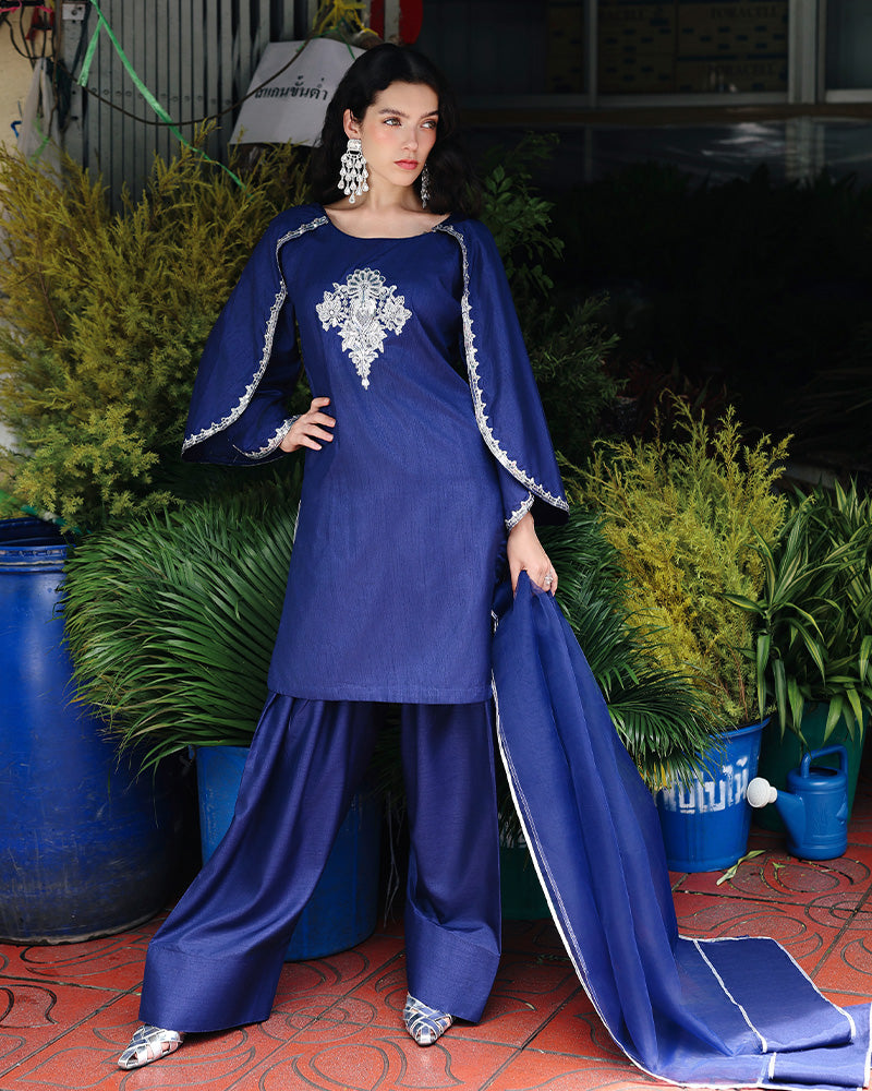 Ain | Prestige Festive Edit | AN-141 E by Ain - Designer Dress  - Type : Ladies Clothes - Available at Libayah - 100% Original 
