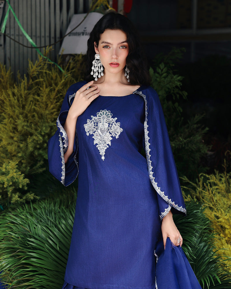 Ain | Prestige Festive Edit | AN-141 E by Ain - Designer Dress  - Type : Ladies Clothes - Available at Libayah - 100% Original 