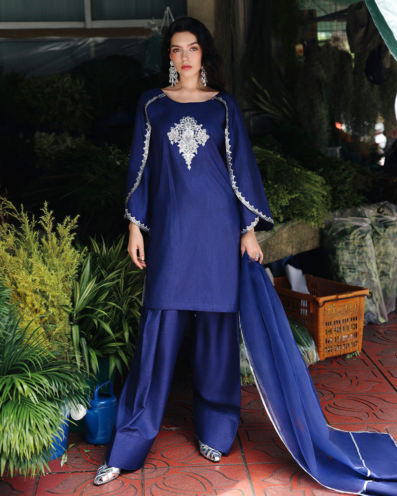 Ain | Prestige Festive Edit | AN-141 E by Ain - Designer Dress  - Type : Ladies Clothes - Available at Libayah - 100% Original 