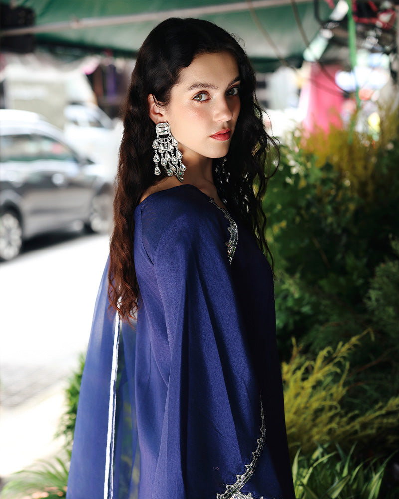 Ain | Prestige Festive Edit | AN-141 E by Ain - Designer Dress  - Type : Ladies Clothes - Available at Libayah - 100% Original 