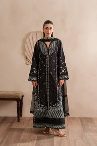 Afrozeh | Muted Muse 26 | Stone by Afrozeh - Designer Dress  - Type : Ladies Clothes - Available at Libayah - 100% Original 