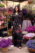 Ramsha | Andaaz Collection | Z-1109 by Ramsha - Designer Dress - Type: Ladies Clothes - Available at Libayah - 100% Original