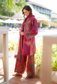 AJR Couture | Printed Chikankari 26 | Amaira - Designer Dress - Type : Ladies Clothes - Available at Libayah - 100% Original