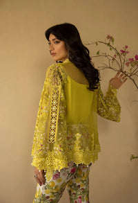 Afrozeh | Basic Pret 26 RTW | NACRE by Afrozeh - Designer Dress  - Type : Ladies Clothes - Available at Libayah - 100% Original 