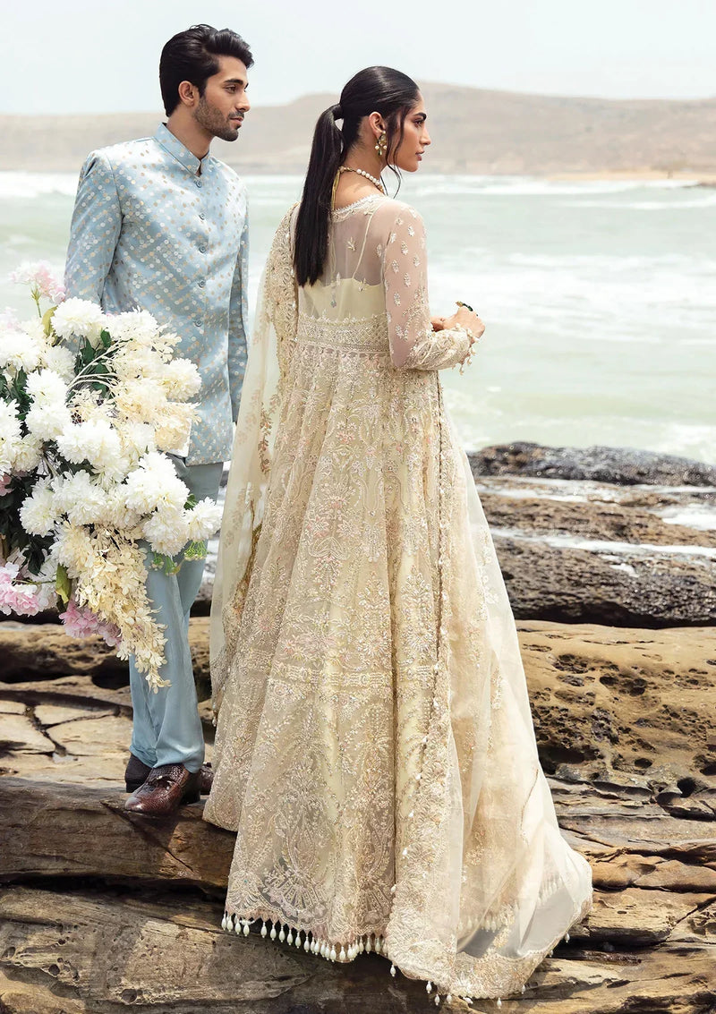 Afrozeh | Dastangoi Wedding Formal'24 | AWE-06 AROOHI