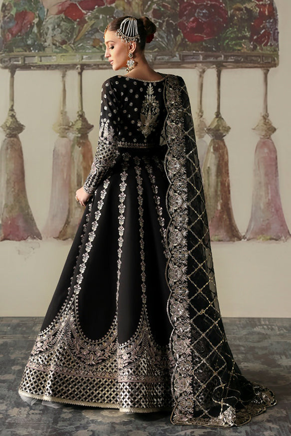 Afrozeh | Divani Silk Edit 24 | Husnara