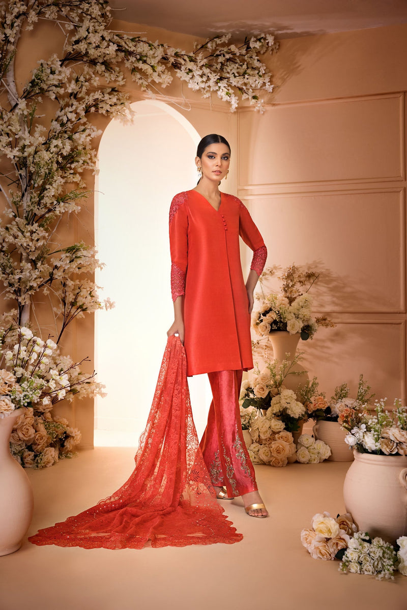 Anam Akhlaq | Festive Collection | D-33 by Anam Akhlaq - Designer Dress - Type: Ladies Clothes - Available at Libayah - 100% Original