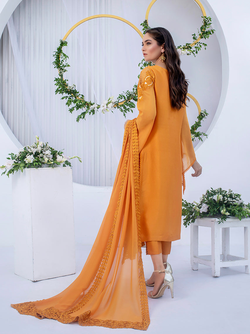 Anam Akhlaq | Festive Collection | D-03 by Anam Akhlaq - Designer Dress - Type: Ladies Clothes - Available at Libayah - 100% Original