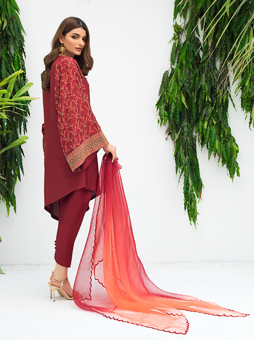 Anam Akhlaq | Festive Collection | D-06 by Anam Akhlaq - Designer Dress - Type: Ladies Clothes - Available at Libayah - 100% Original