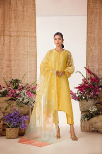 Anam Akhlaq | Festive Collection | D-35 by Anam Akhlaq - Designer Dress - Type: Ladies Clothes - Available at Libayah - 100% Original