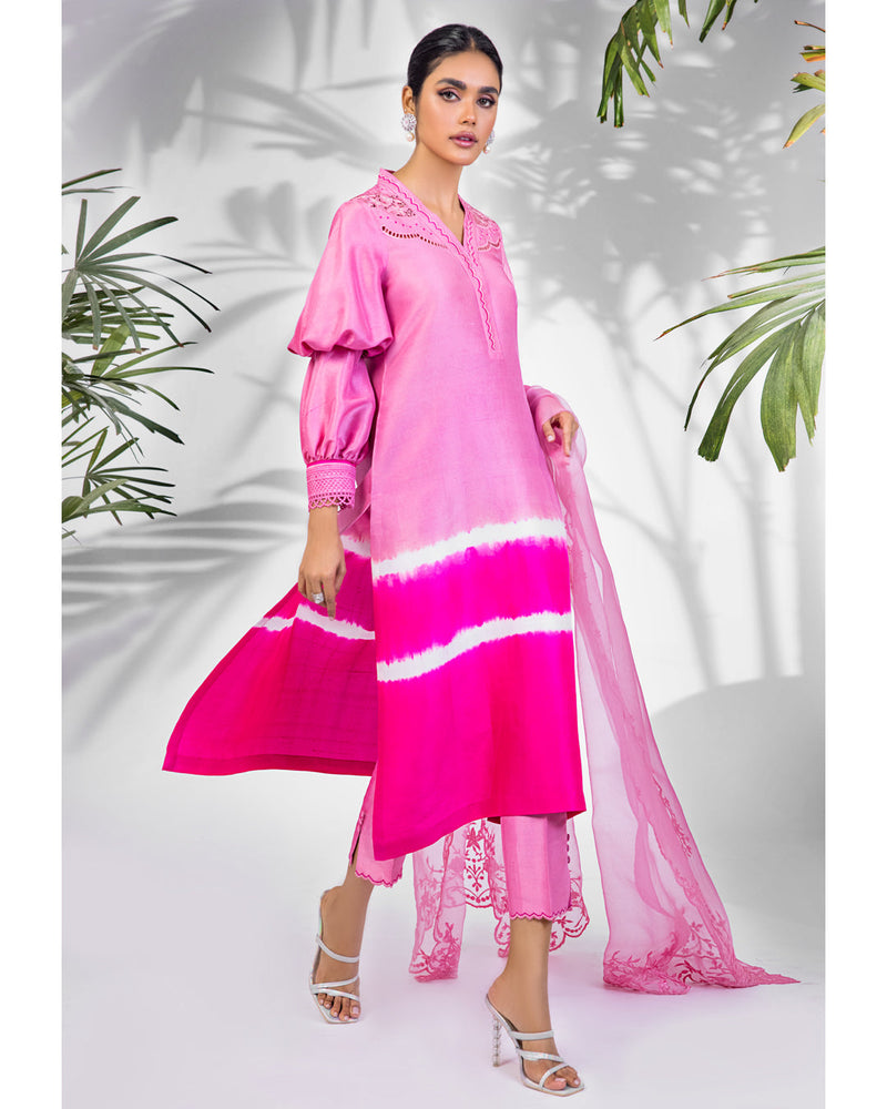 Anam Akhlaq | Festive Collection | D-22 by Anam Akhlaq - Designer Dress - Type: Ladies Clothes - Available at Libayah - 100% Original