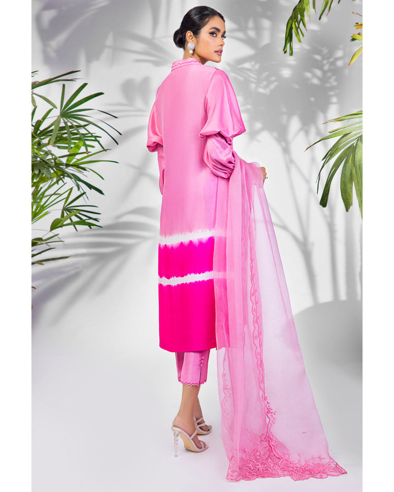 Anam Akhlaq | Festive Collection | D-22 by Anam Akhlaq - Designer Dress - Type: Ladies Clothes - Available at Libayah - 100% Original