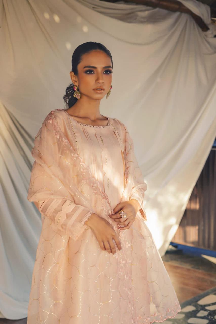 Anam Akhlaq | Festive Collection | D-49 by Anam Akhlaq - Designer Dress - Type: Ladies Clothes - Available at Libayah - 100% Original