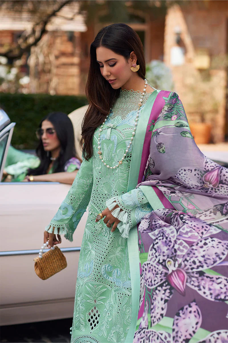 Mushq | Te Amo Luxury Lawn 24 | PIAZZA PANACHE