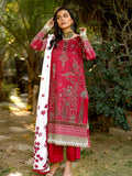 Bin Ilyas | Maya Jahan Winter 24 |  766 B by Bin Ilyas - Designer Dress - Type: Ladies Clothes - Available at Libayah - 100% Original