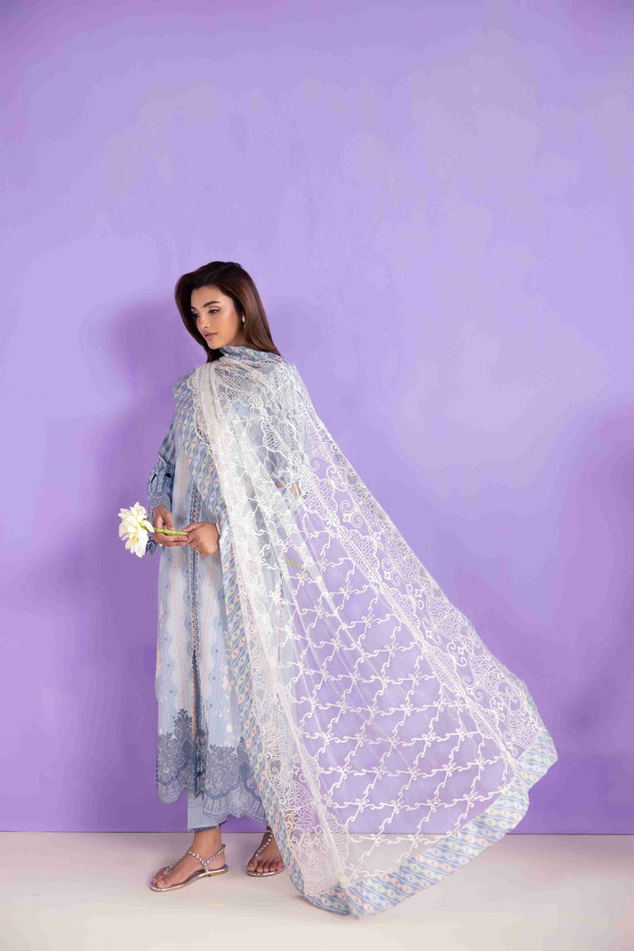 Aabyaan | Eid Pret 25 | MEIRA AP-02 by Aabyaan - Designer Dress - Type: Ladies Clothes - Available at Libayah - 100% Original