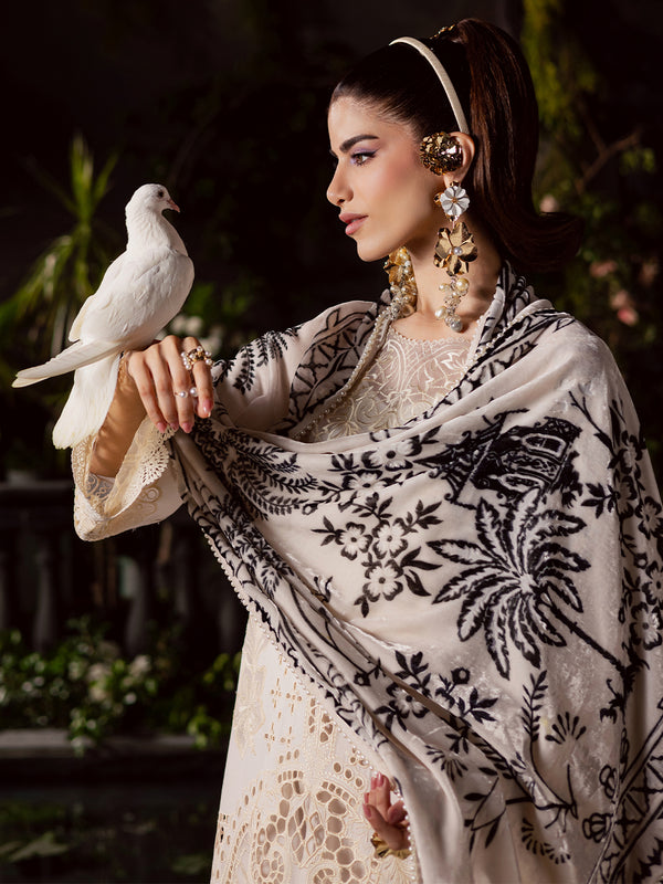 Mahnur | Amelia Luxury Winter 25 |CK-003 Kotrai