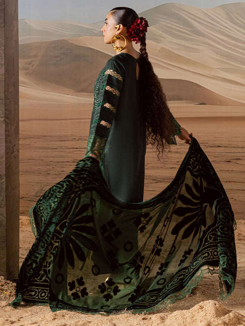 Mahnur | Amelia Luxury Winter 25 | CK-009  Kotrai