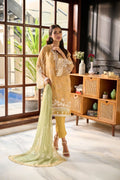 Dhanak | Festive Edit | 2386 by Dhanak - Designer Dress - Type: Ladies Clothes - Available at Libayah - 100% Original