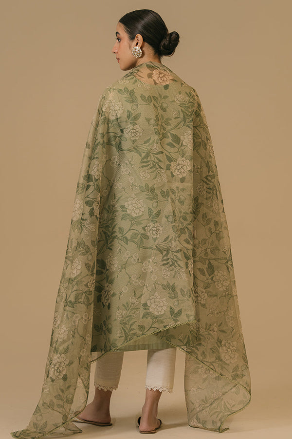 Cross Stitch | Eid Collection | OLIVE VISTA by Cross Stitch - Designer Dress - Type: Ladies Clothes - Available at Libayah - 100% Original