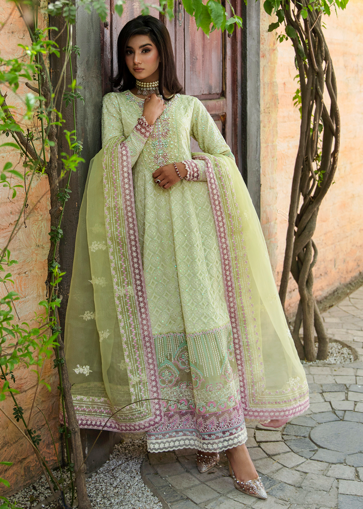 Maria Osama Khan | Rang e Noor Eid Edit | Nargis-Yellow
