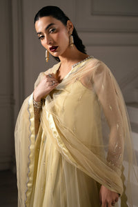 Mina Kashif | Emilie Formals | Julia by Mina Kashif - Designer Dress - Type : Formal Dress - Available at Libayah - 100% Original