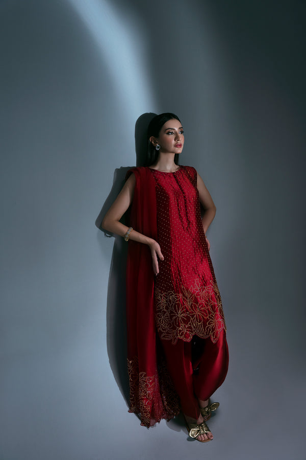 Sidra Fahad | Eliana Luxe | SF-181(ELIANNA) by Sidra Fahad - Designer Dress - Type: Luxury - Available at Libayah - 100% Original