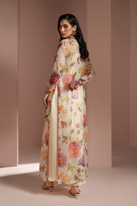 RTW 1032 – authentic Pakistani dress from the Alizeh Ready to Wear collection for women in the UK.